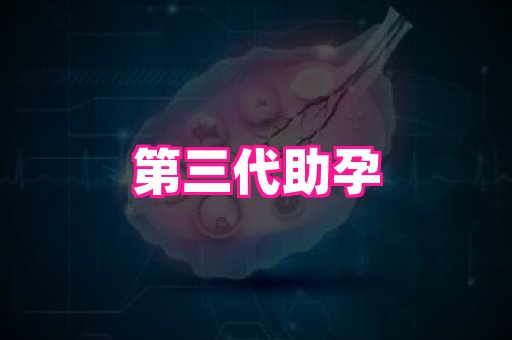 gfg孕网 2